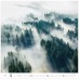 forest h171 004